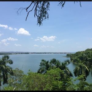 Meet your Posher, Caleigh